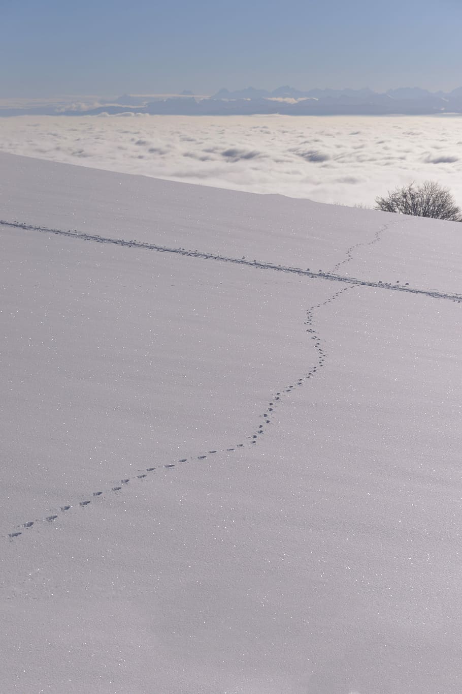 Snow, White, Winter, Mountains, landscape, jura, vaud, traces HD wallpaper