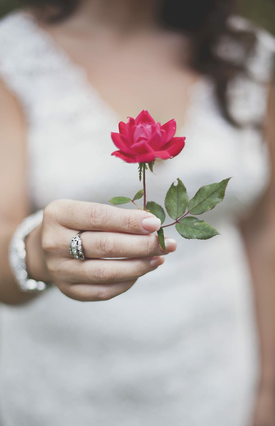 woman wearing white dress holding red flower, selective focus photo of woman holding red rose HD wallpaper