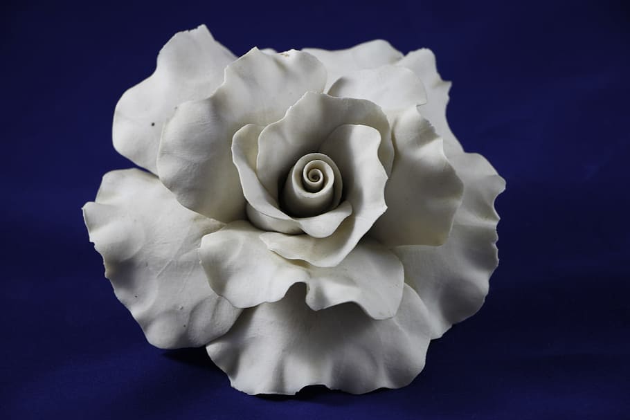 rose, deco, decorative, ornament, romantic, floristry, artfully HD wallpaper