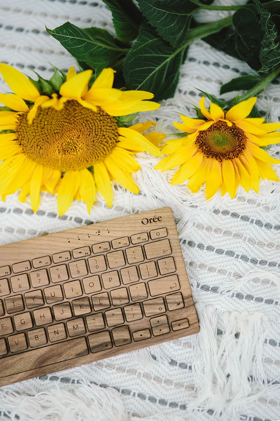 Resting on a blanket, summer, white, technolofy, keyboard, technology HD wallpaper