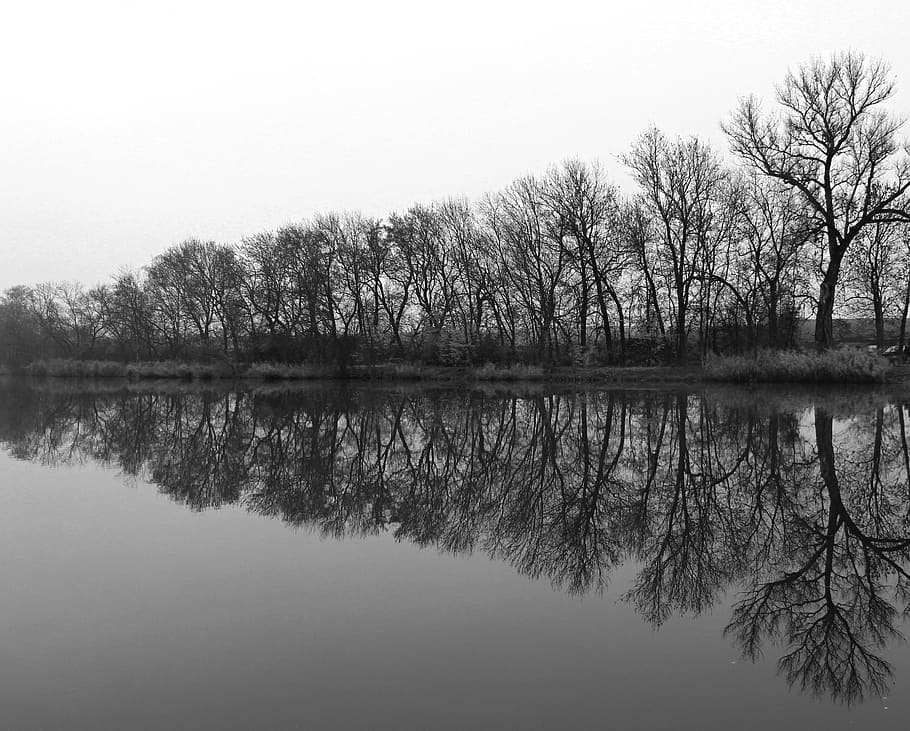 trees, water-level, nature, reflection, lake, landscape, tranquility HD wallpaper
