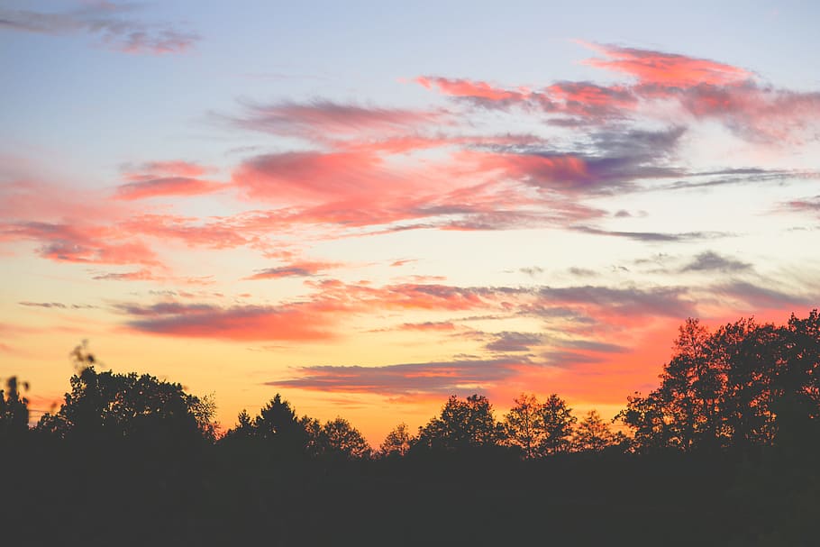 Beautiful sunset sky, evening, sunrise, tree, cloud - sky, silhouette HD wallpaper