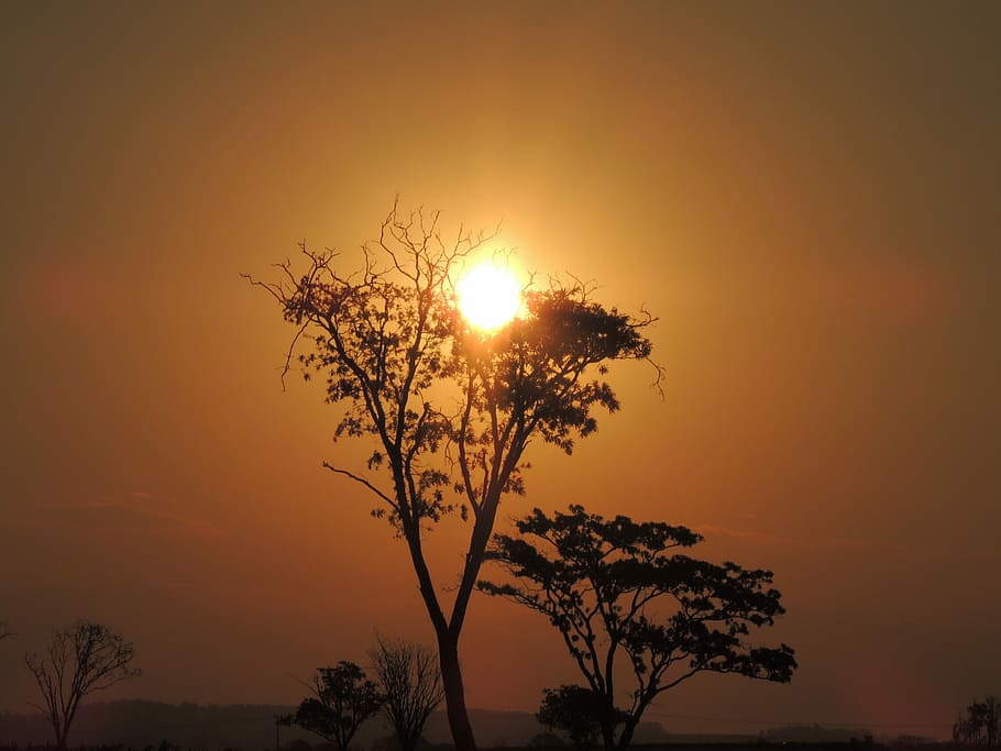Sunset, Eventide, Sol, Horizon, against light, farm, nature HD wallpaper