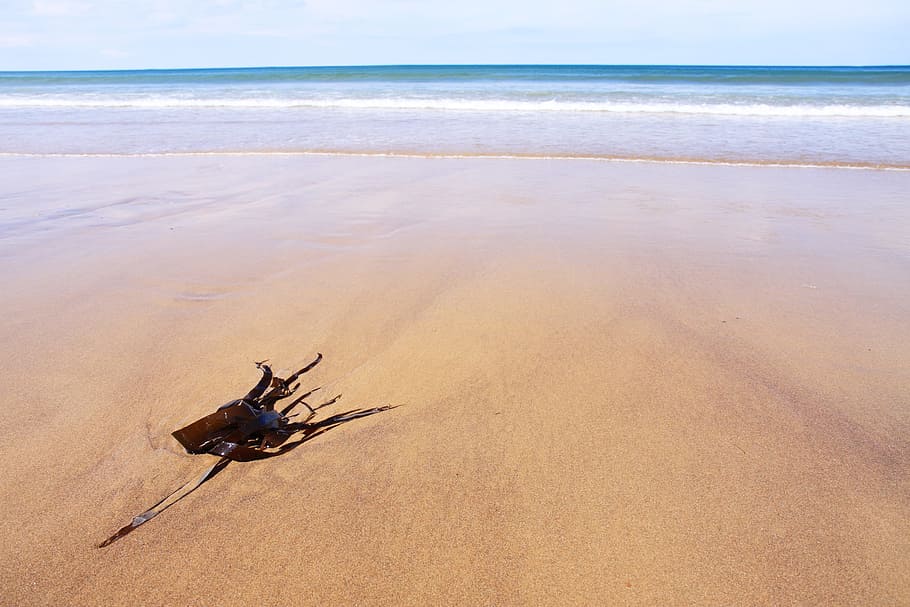 Beach, Blue, Coast, Coastline, Holiday, landscape, ocean, sand HD wallpaper