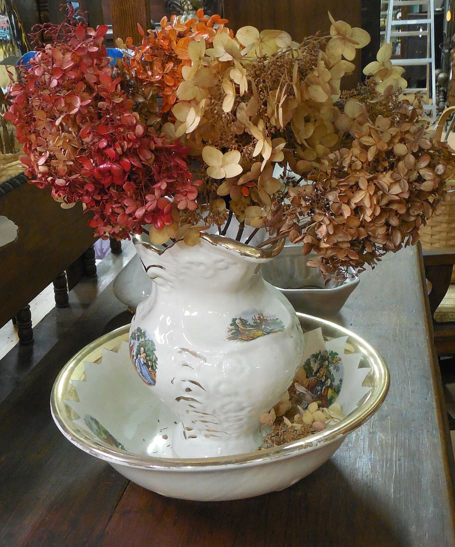 dried, ceramic, bowl, white, dry, red, leaves, plant, dish HD wallpaper