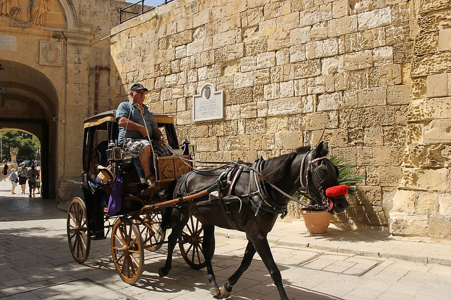 man riding carriage near brown building during daytime, wall HD wallpaper