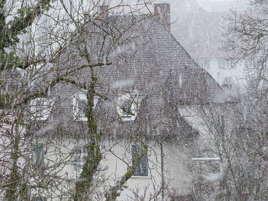 house covered with snow, Blizzard, Snow Flurry, Snowflakes, snowfall