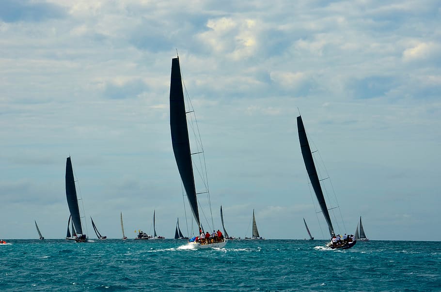 Race, Sailing, Nautical, Competition, sail boat, ocean, yacht HD wallpaper