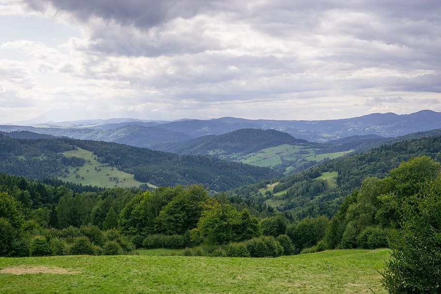 mountains, view, clouds, cloud cover, forest, summer, landscape HD wallpaper