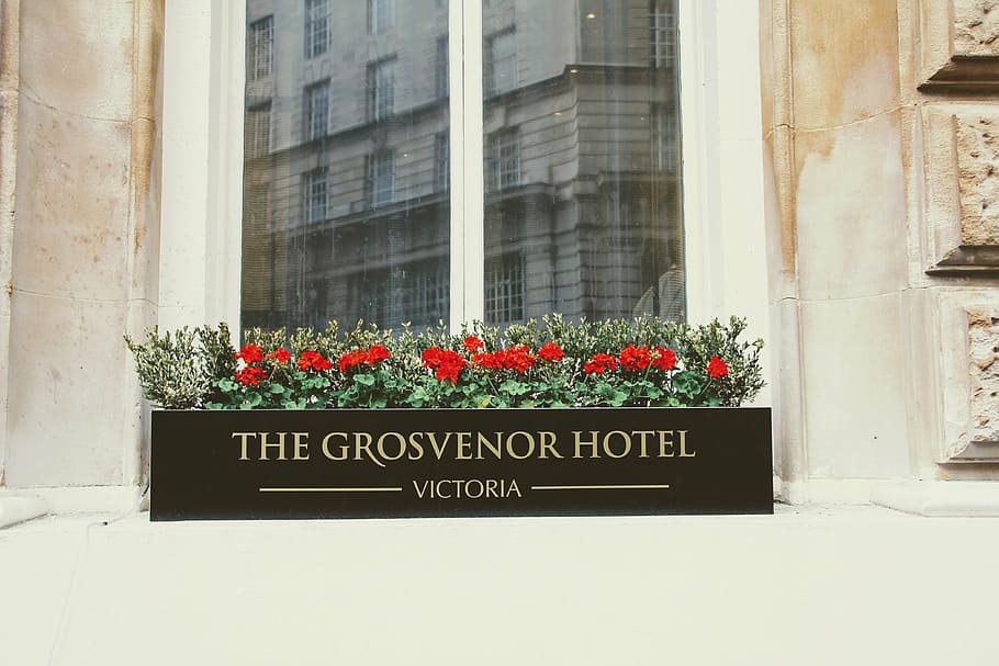 hotel, grosvenor hotel, victoria, london, mirroring, flowers, HD wallpaper