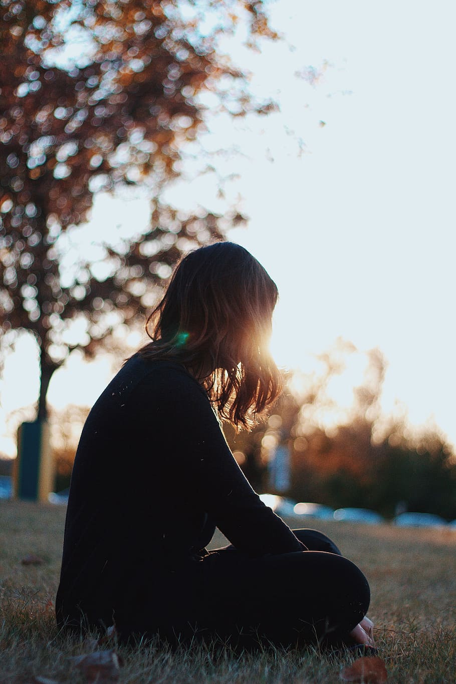 sunlight, sunset, daylight, park, grass, people, woman, one person HD wallpaper