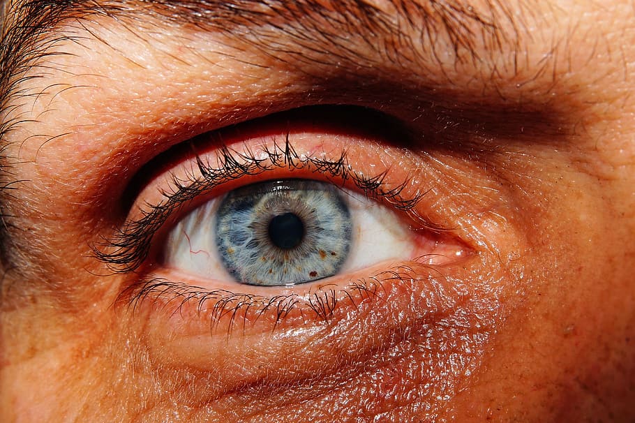 closeup photography of left human eye, face, person, eyelashes HD wallpaper