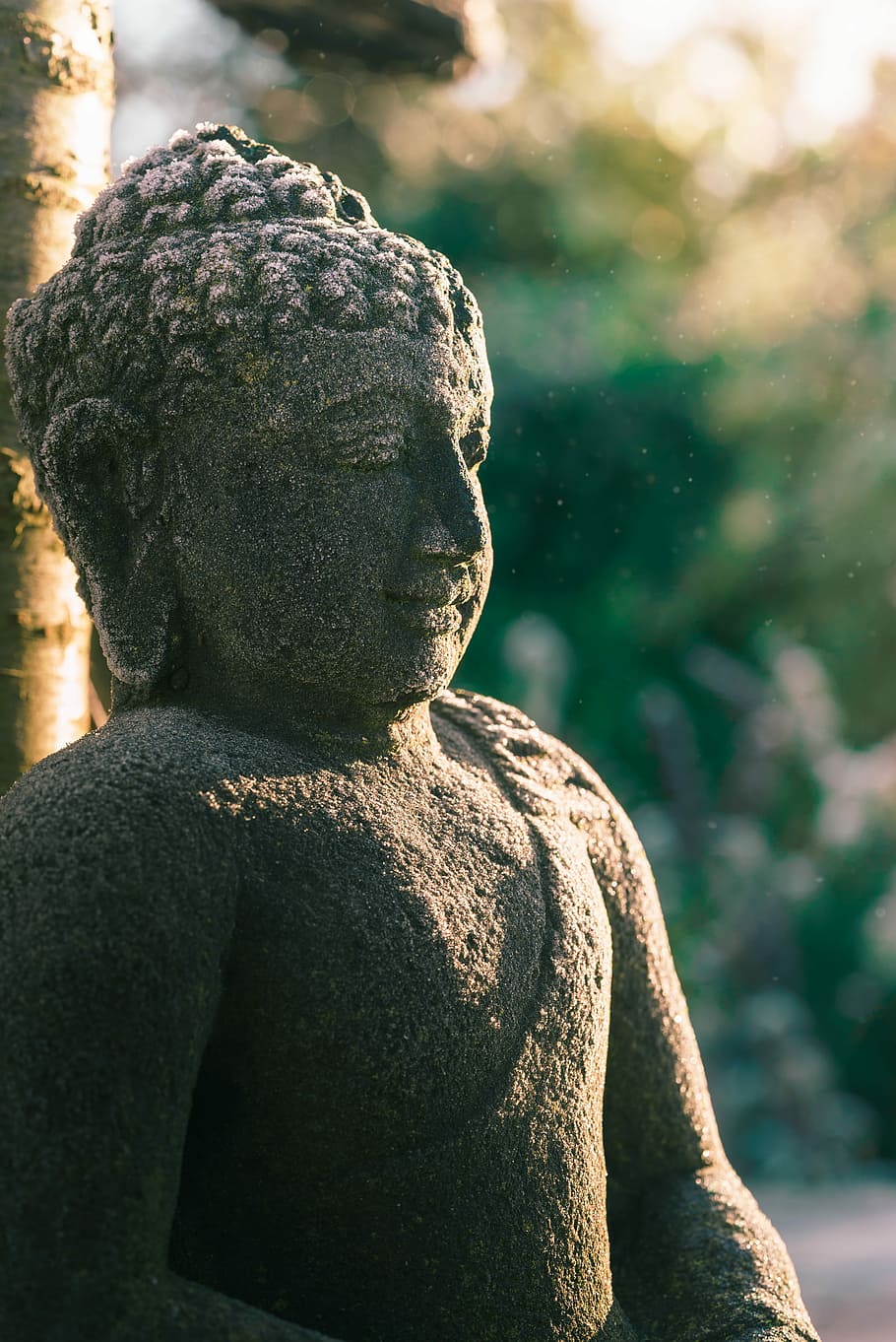 shallow focus photography of Gautama, selective focus photo of gray concrete Buddha HD wallpaper