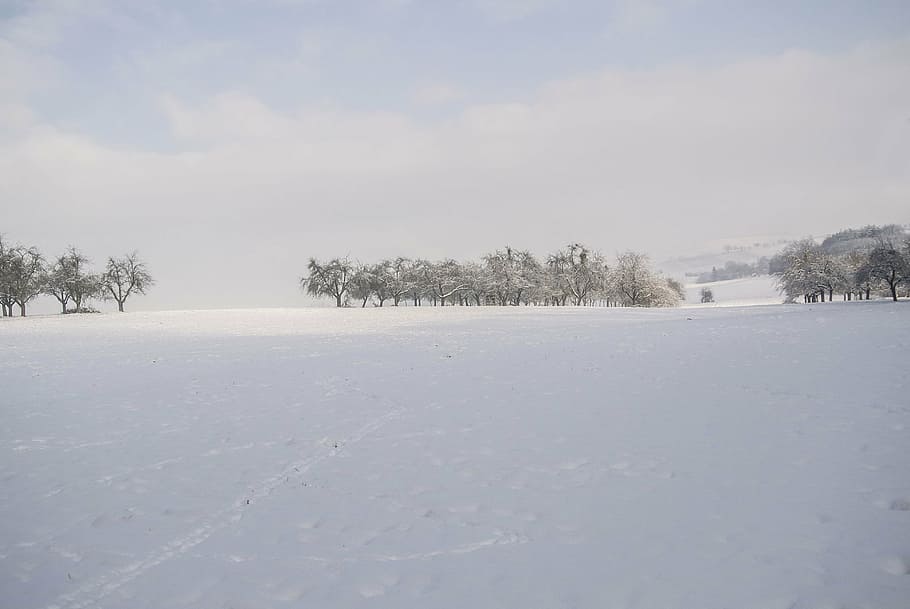 cold, winter landscape, snow, winter trees, nature landscape HD wallpaper