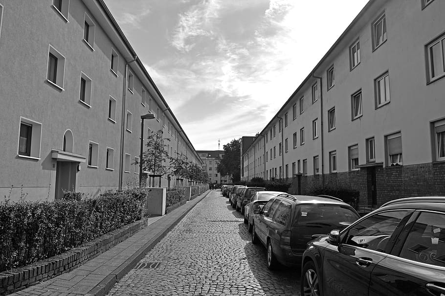 road, vanishing point, perspective, cologne, book forest, architecture HD wallpaper