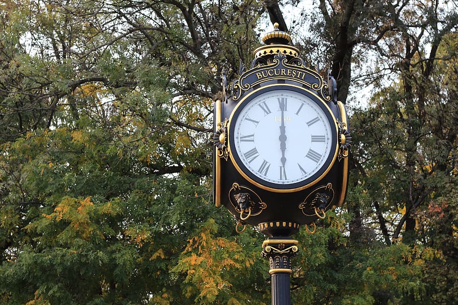time, tree, clock, old, wood, park, plant, low angle view, no people HD wallpaper