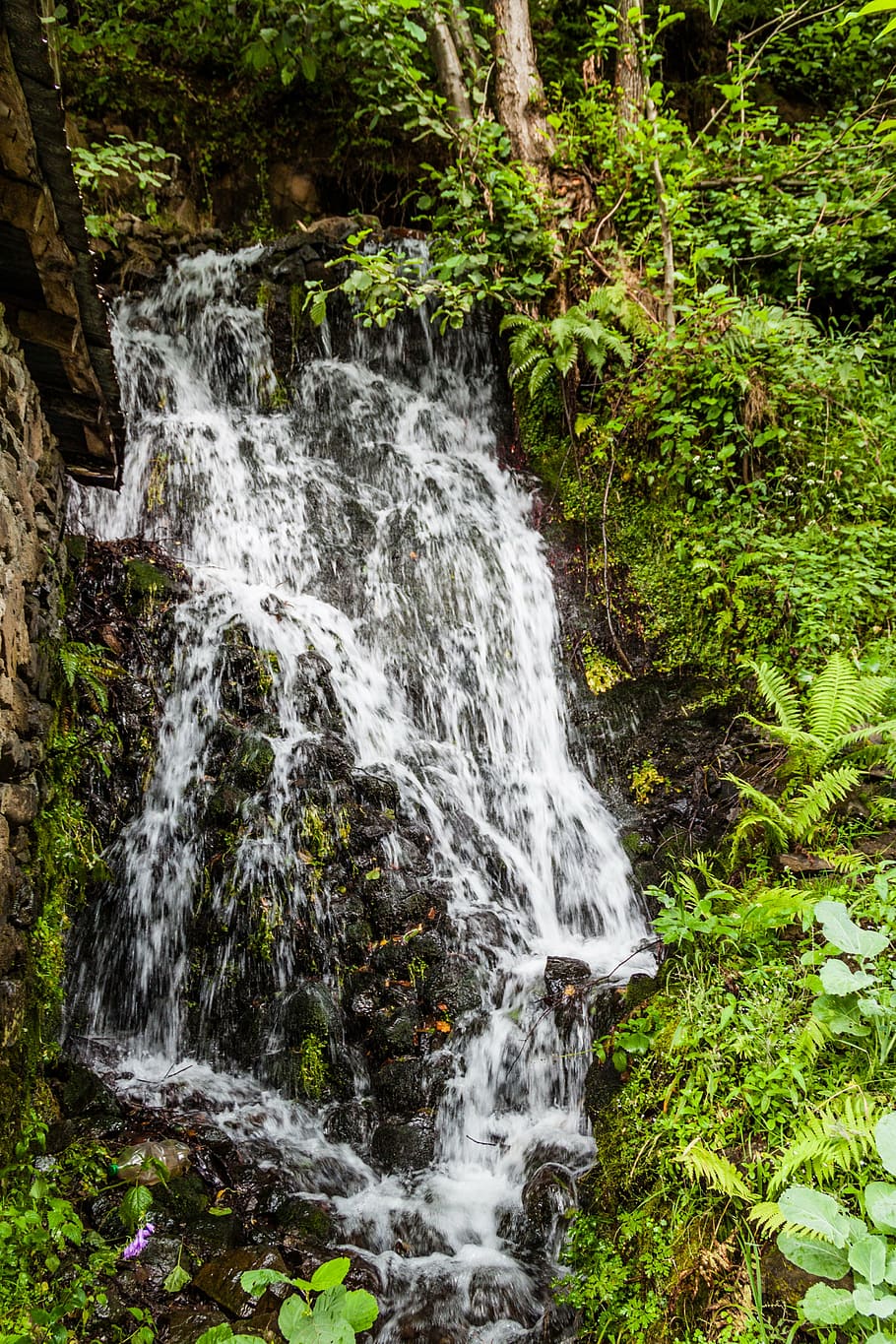 waterfall, nature, tree, green, the leaves are, autumn, landscape HD wallpaper