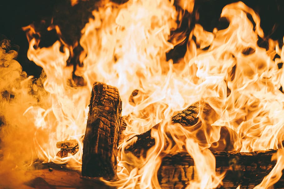 burning firewood, close-up photography of burning coals, fire - Natural Phenomenon HD wallpaper