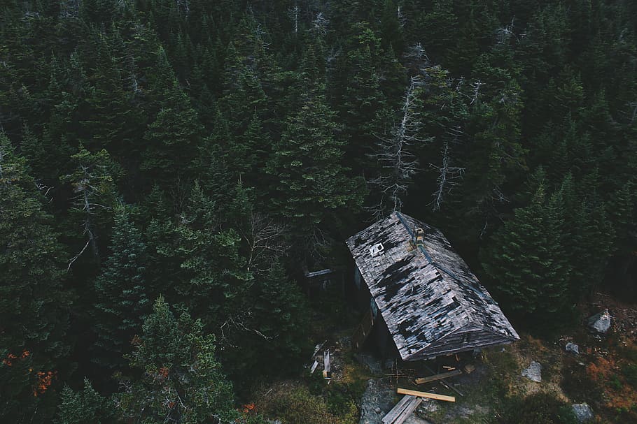 aerial photo of cabin on woods, aerial photography of gray house beside green trees at daytime HD wallpaper
