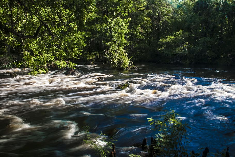 river, rapids, hillsborough, forest, water, nature, rock, flowing HD wallpaper