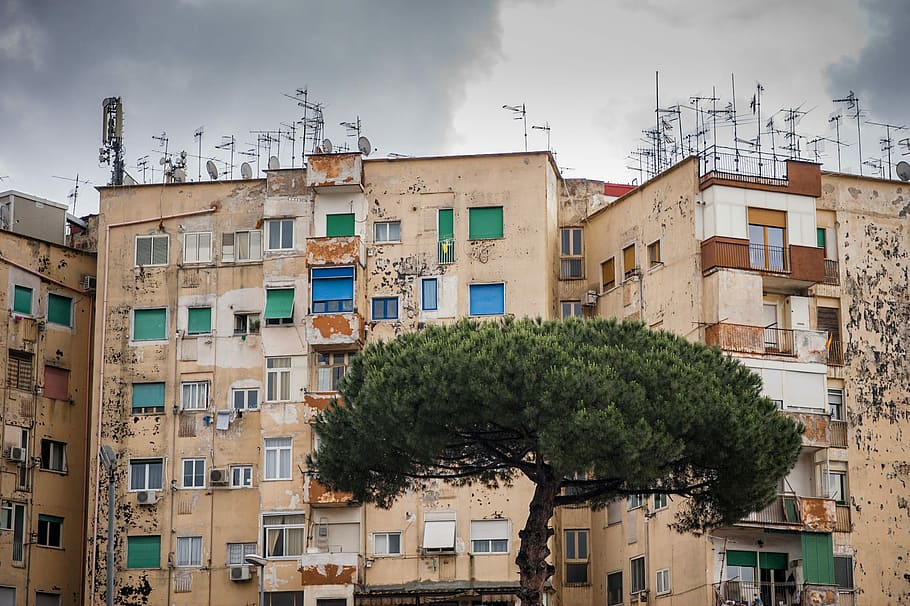 beige concrete buildings, tree in front of apartment complex HD wallpaper
