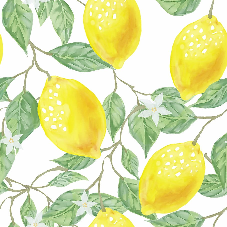 illustration of lemon fruits, textile, fabric, leaf, green HD wallpaper