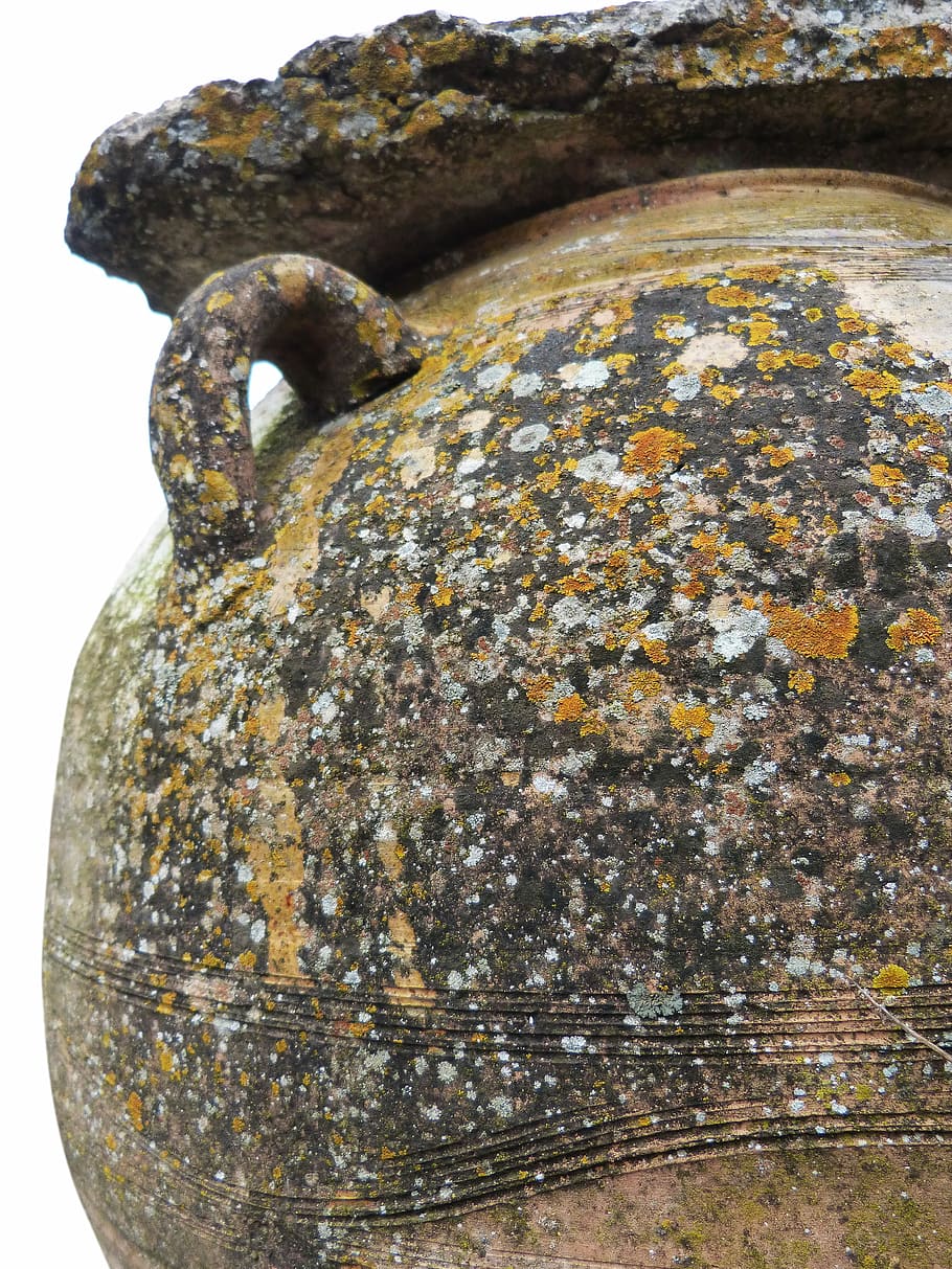 Jar, Ceramic, Lichens, Old, Weather, no people, white background HD wallpaper
