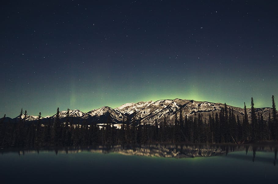 Aurora borealis photography, snow, covered, mountain, trees HD wallpaper