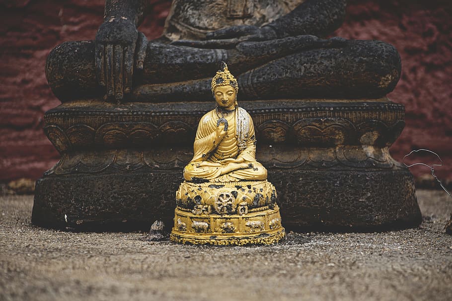selective focus photography of Dhyana Mudra figurine in front of Bumispharsha Mudra statue, gold Gautama Buddha figurine