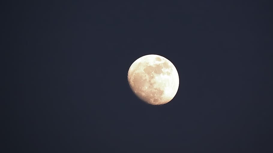 view of full moon, All, Star, Live, night, moon Surface, astronomy HD wallpaper