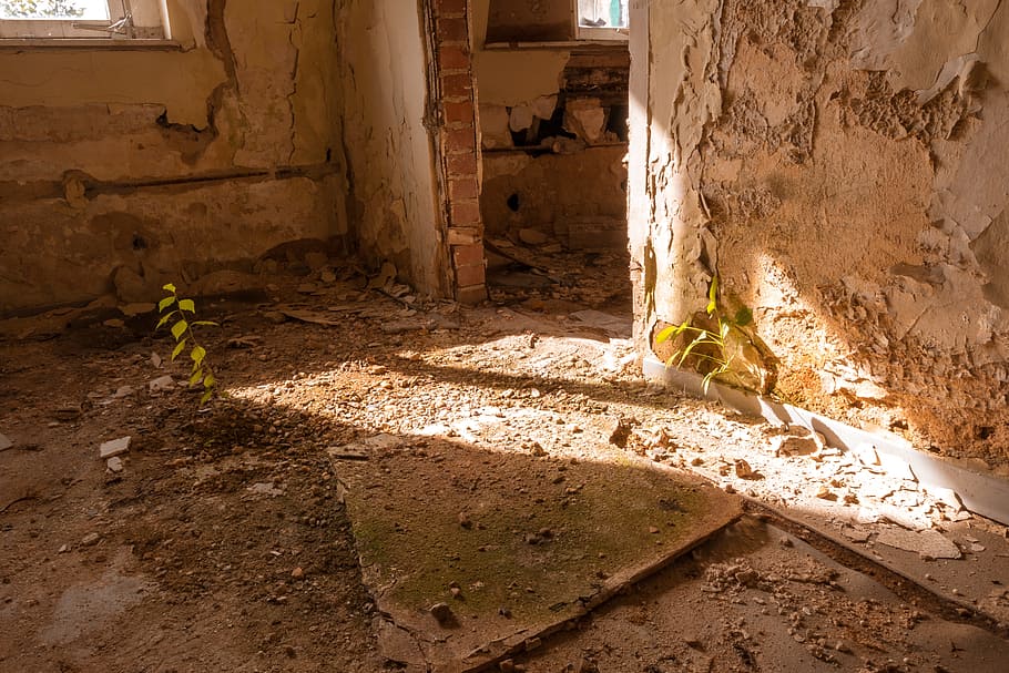 Space, Moss, Plant, Light, Architecture, old building, historically HD wallpaper