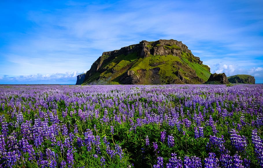 landscape, nature, sky, clouds, blooming, bright, countryside HD wallpaper