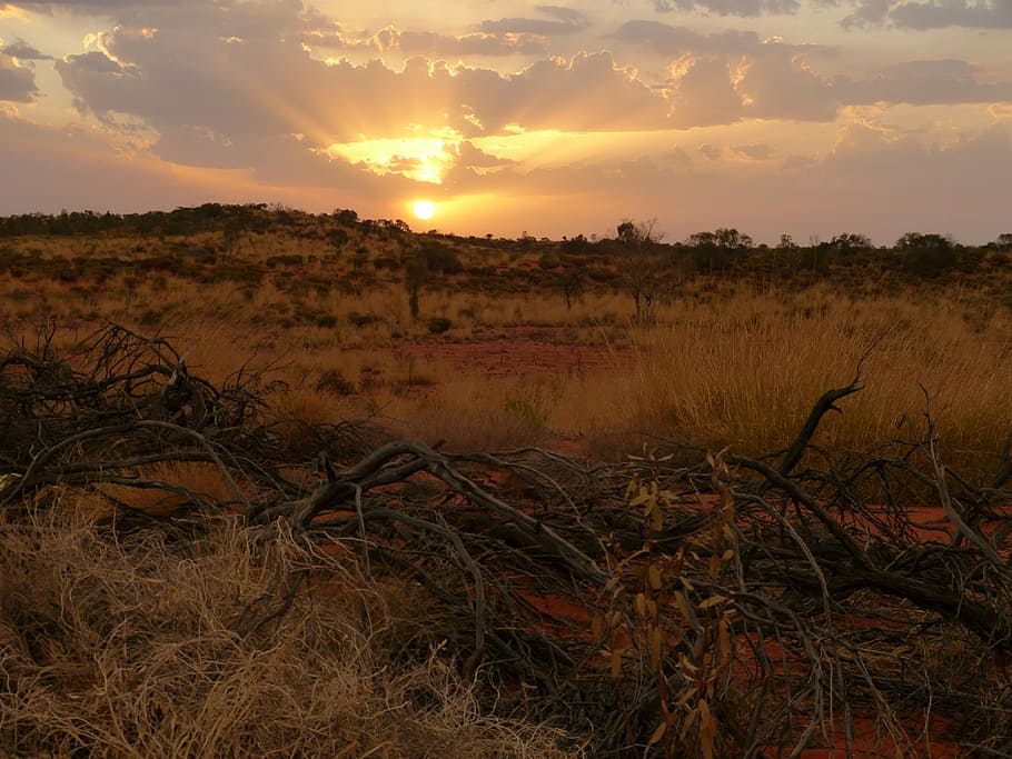 brown grass field, sun, sunrise, clouds, mood, sunbeam, light HD wallpaper