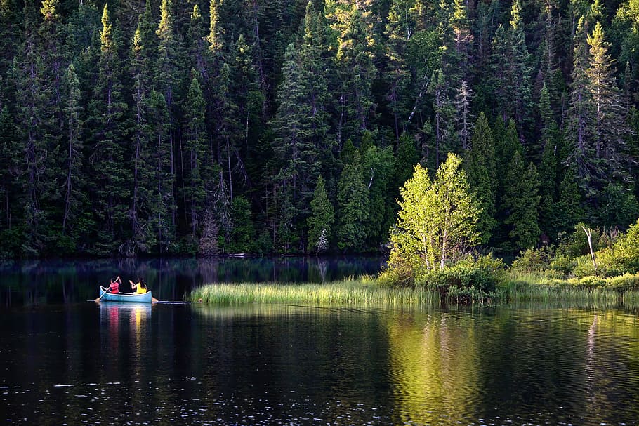 people riding on blue canoe near green trees, Landscape, Lake, HD wallpaper