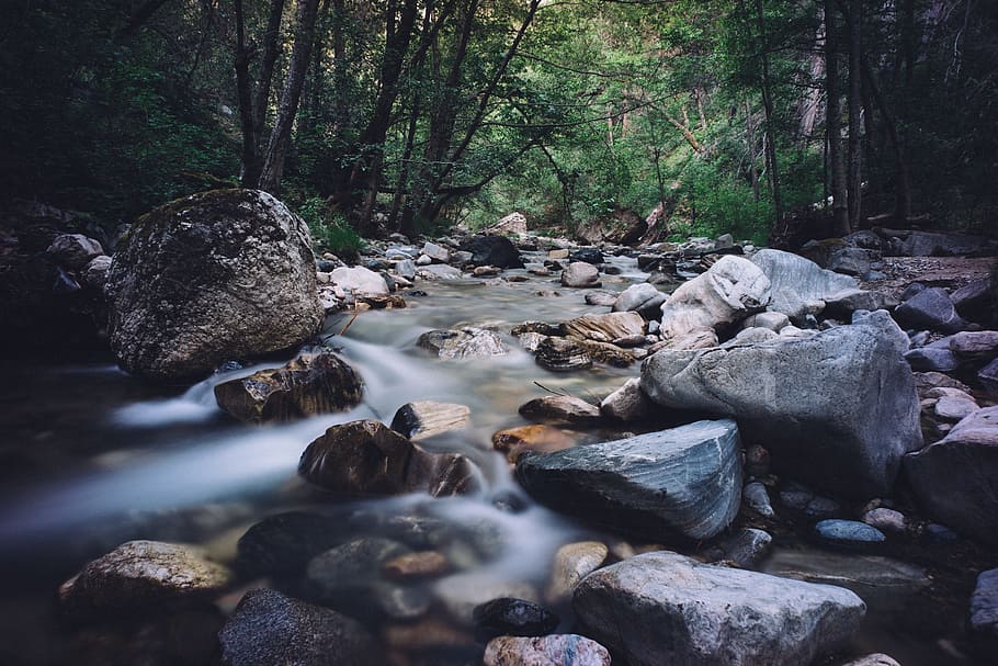 stream with stones in middle of forest, rocks, water, nature HD wallpaper