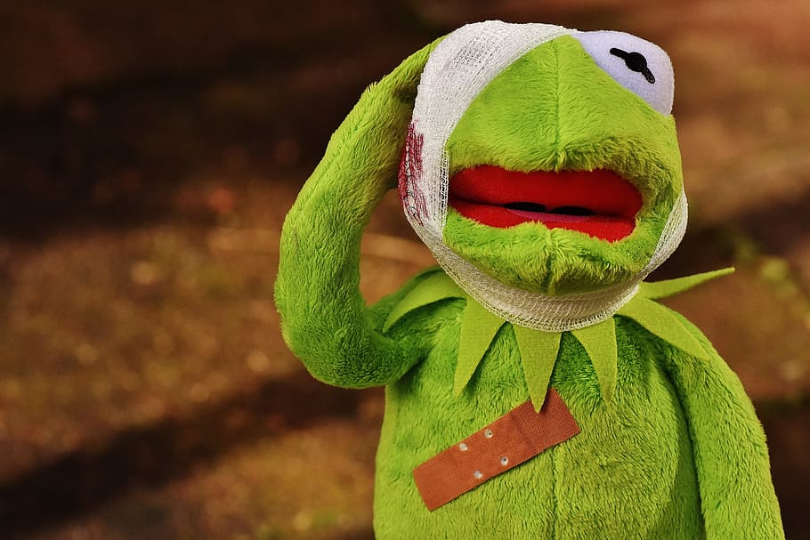 injured Kermit the Frog, first aid, association, blood, funny