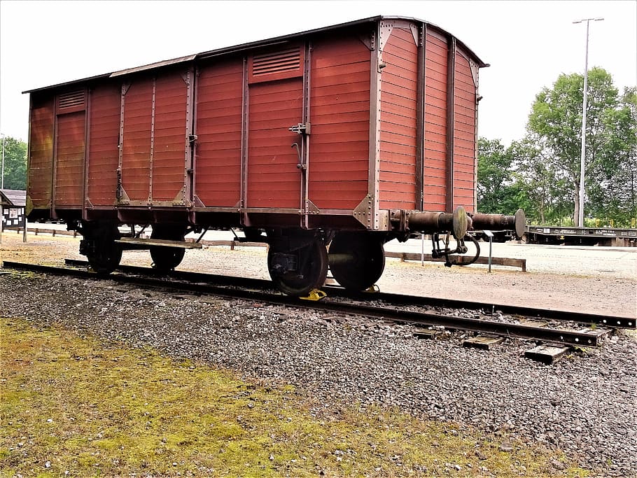 bergen-belsen, wagon, train, holocaust, freight train, old, HD wallpaper