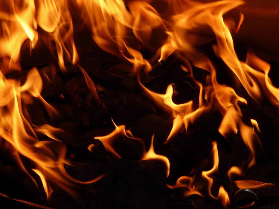 fire on wood, flame, barbecue, charcoal, carbon, hot, burn HD wallpaper