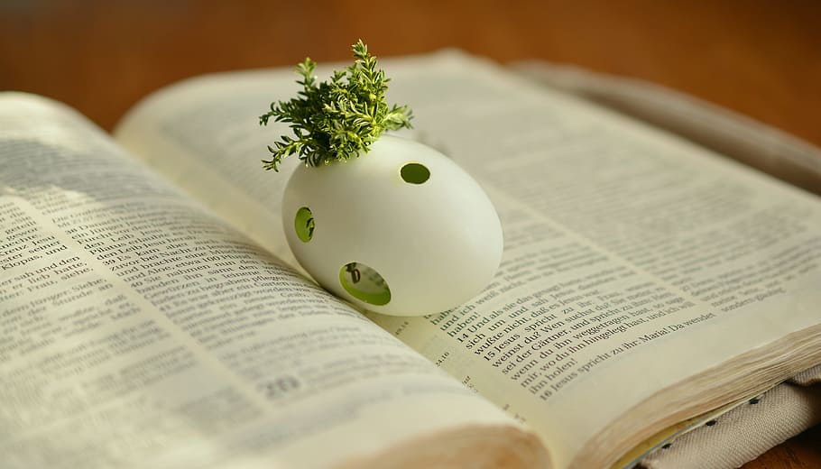 white egg shell with green leaves on book, easter, resurrection