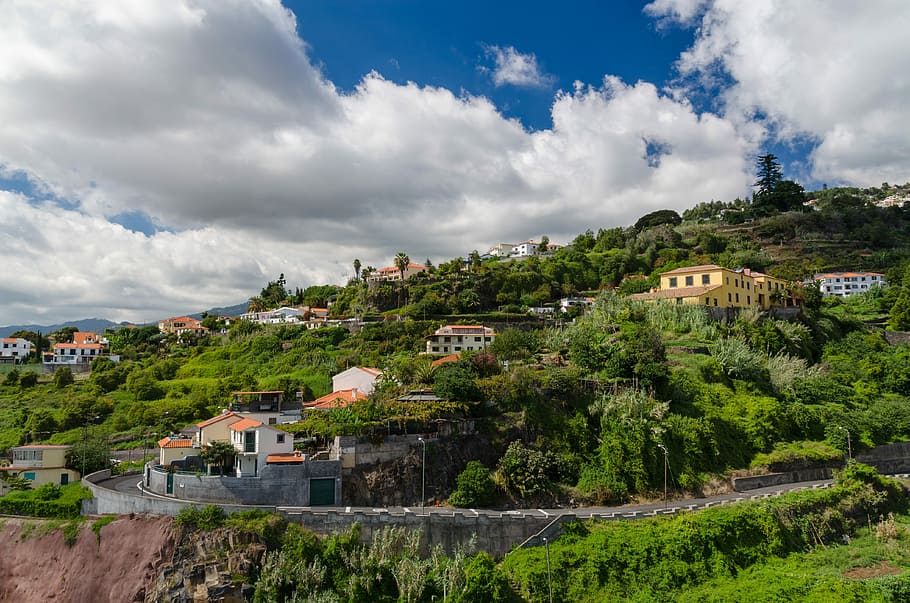 Funchal, Madeira, Portugal, Mountain, homes, holiday, landscape, HD wallpaper
