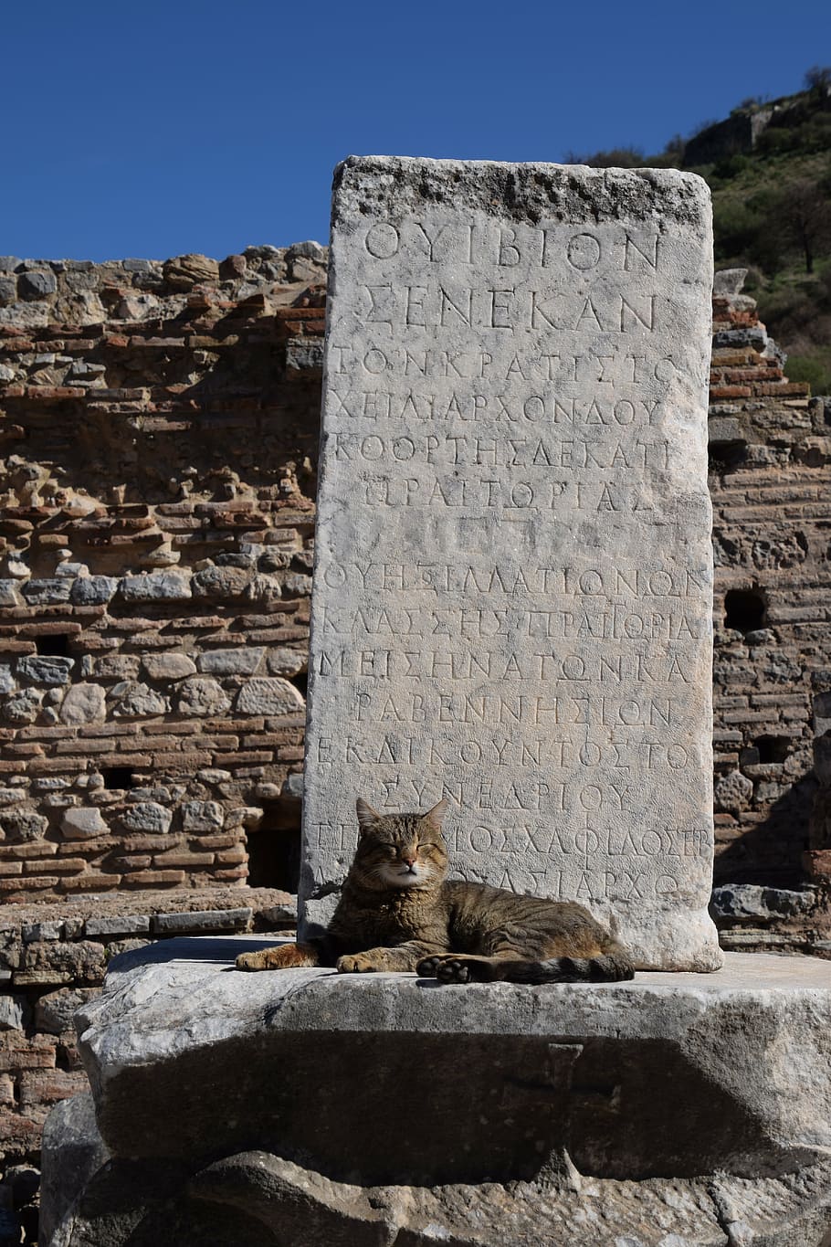 ephesus, protection, code, secret, archaeology, pillar, mammal HD wallpaper