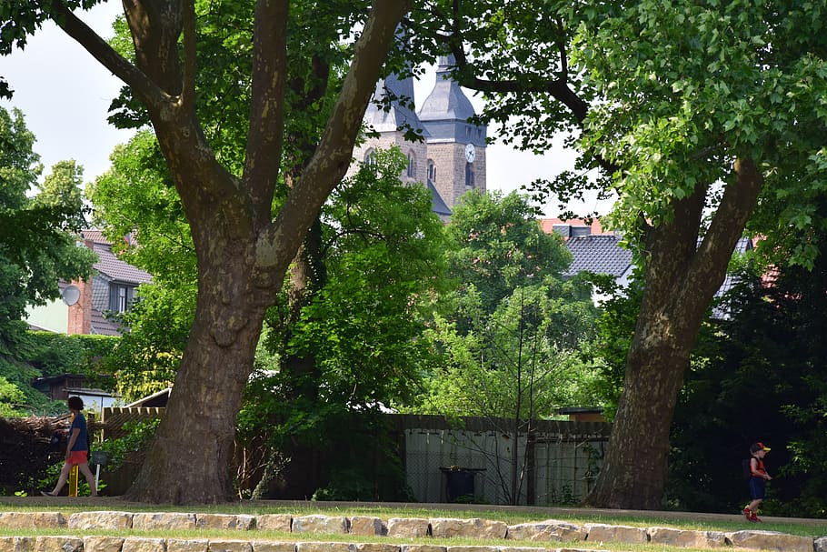 church, landscape, architecture, tree, plant, building exterior HD wallpaper