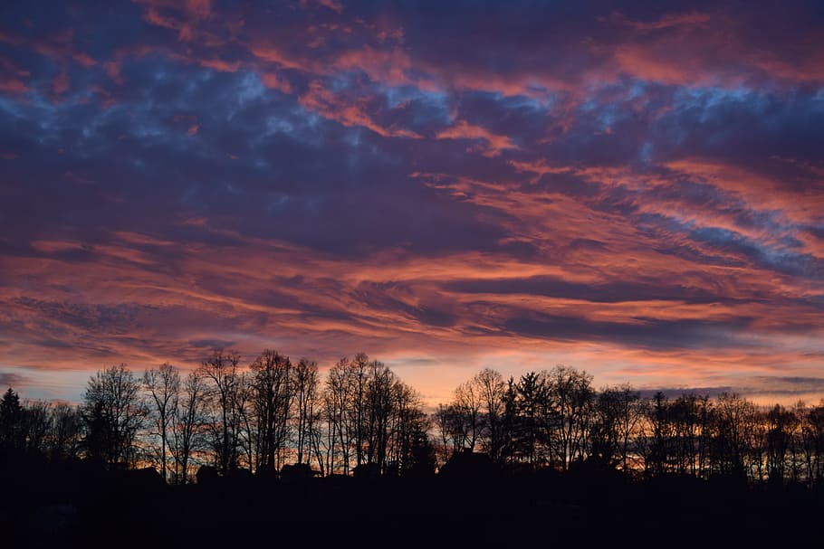 Pink, Dimension, Forest, Sunset, sky, trees, landscape, blue sky HD wallpaper