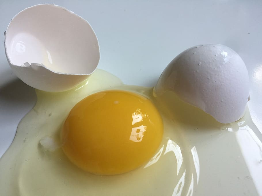 Broken, Egg, White, broken egg, white egg, food and drink, healthy eating HD wallpaper
