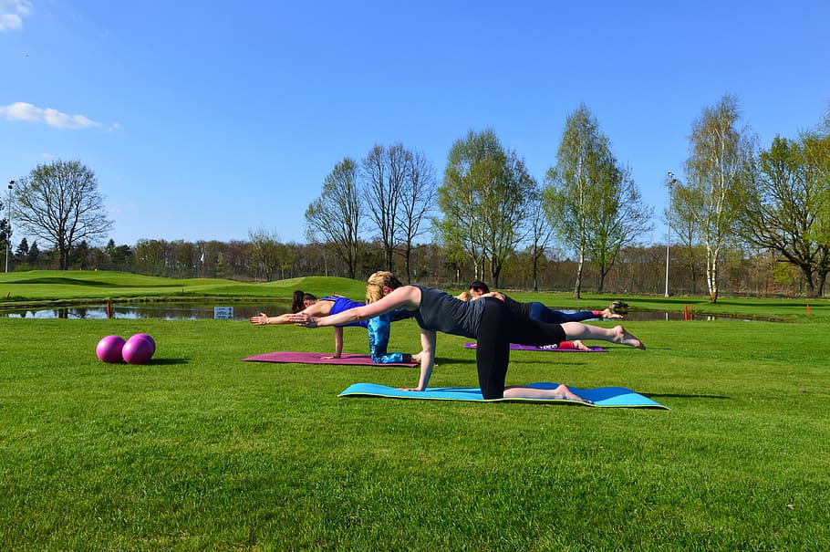 sport, pilates, plant, grass, lifestyles, full length, leisure activity HD wallpaper