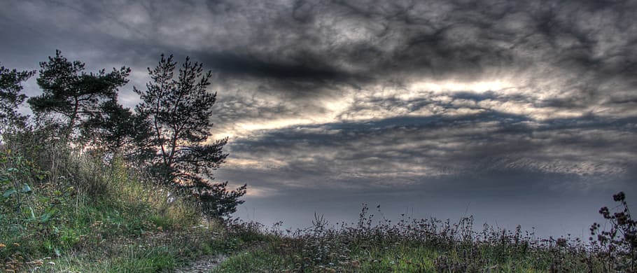 clouds, sky, landscape, sun, heaven, cloudy, cloud - sky, plant HD wallpaper