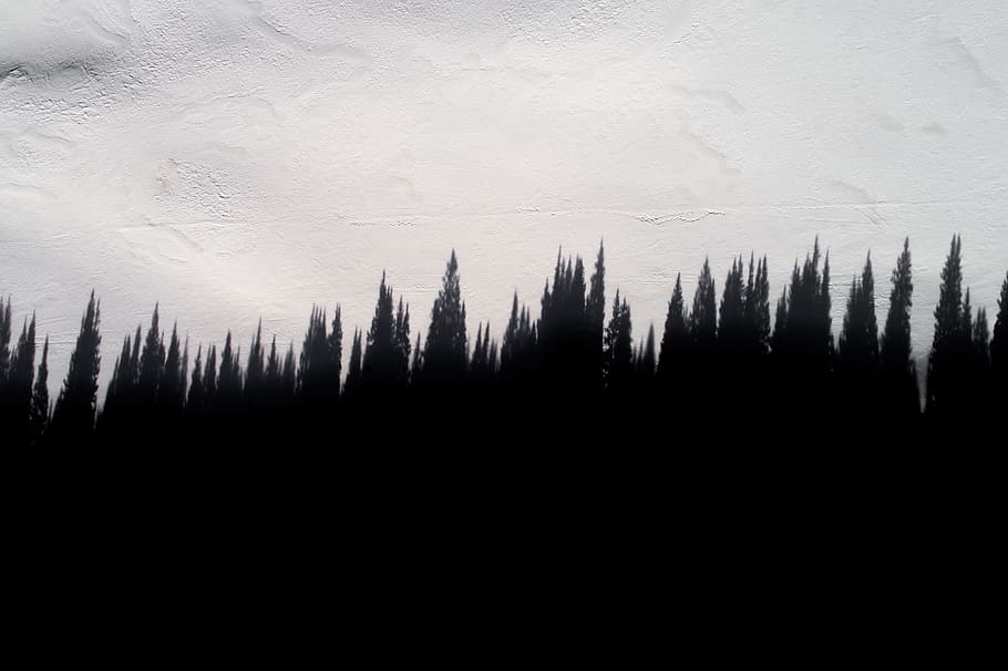 Online Crop HD   Silhouette Of Trees Silhouette Pine Trees   Shadow Light Texture Wall 