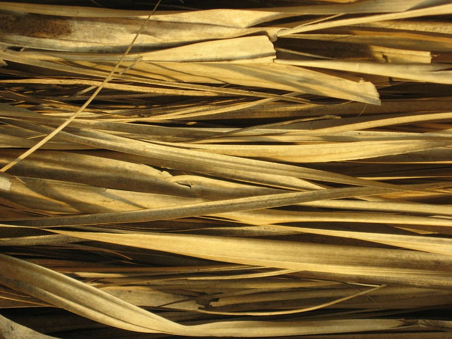 texture, straw, hut, full frame, backgrounds, no people, indoors HD wallpaper