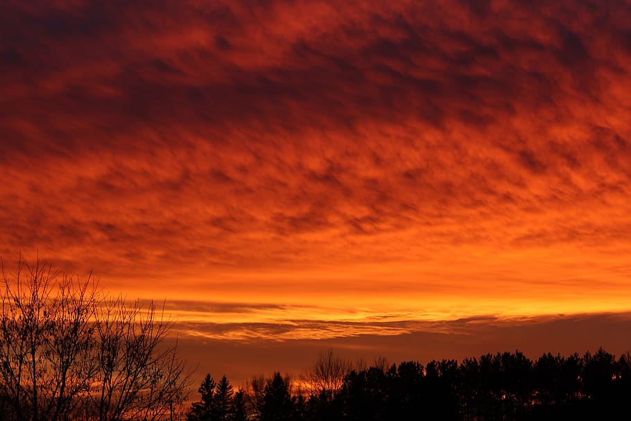 sunset, pink, yellow, clouds, cloudscape, trees, nature, landscape HD wallpaper