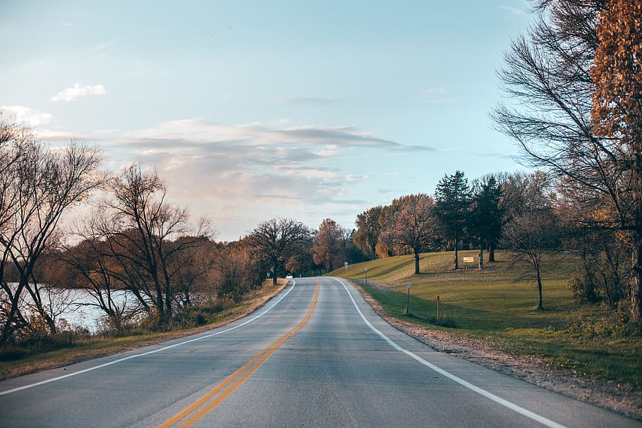 road, path, green, grass, trees, plants, field, view, landscape HD wallpaper